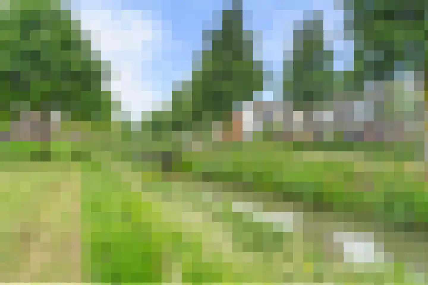 Dahliatuin 11 Houten thumbnail 55