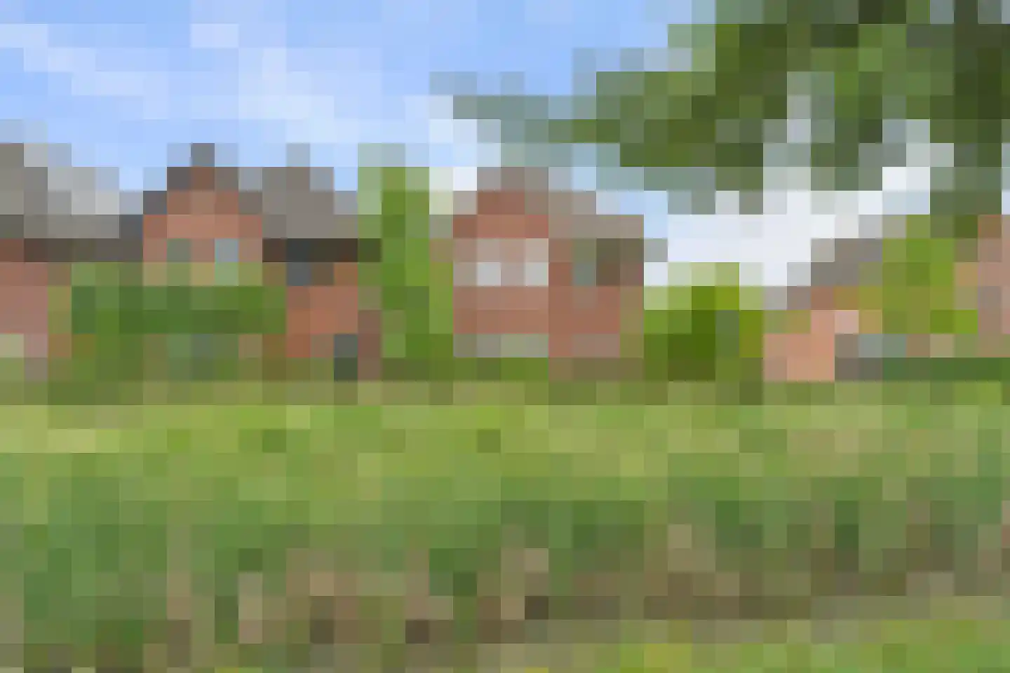 Dahliatuin 11 Houten thumbnail 57
