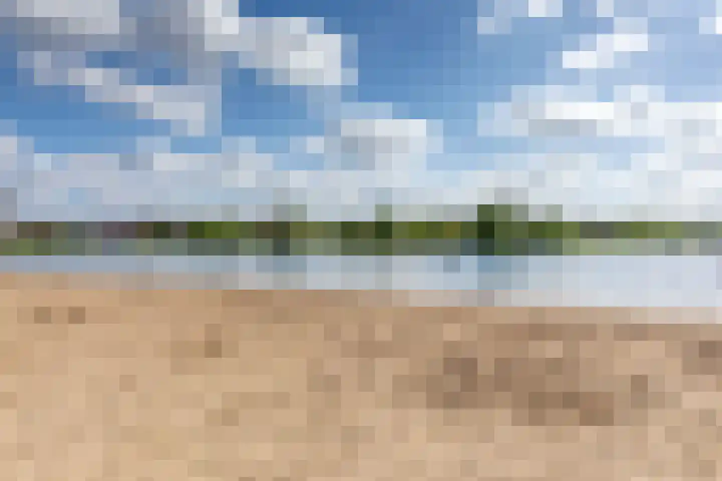 Dahliatuin 11 Houten thumbnail 59