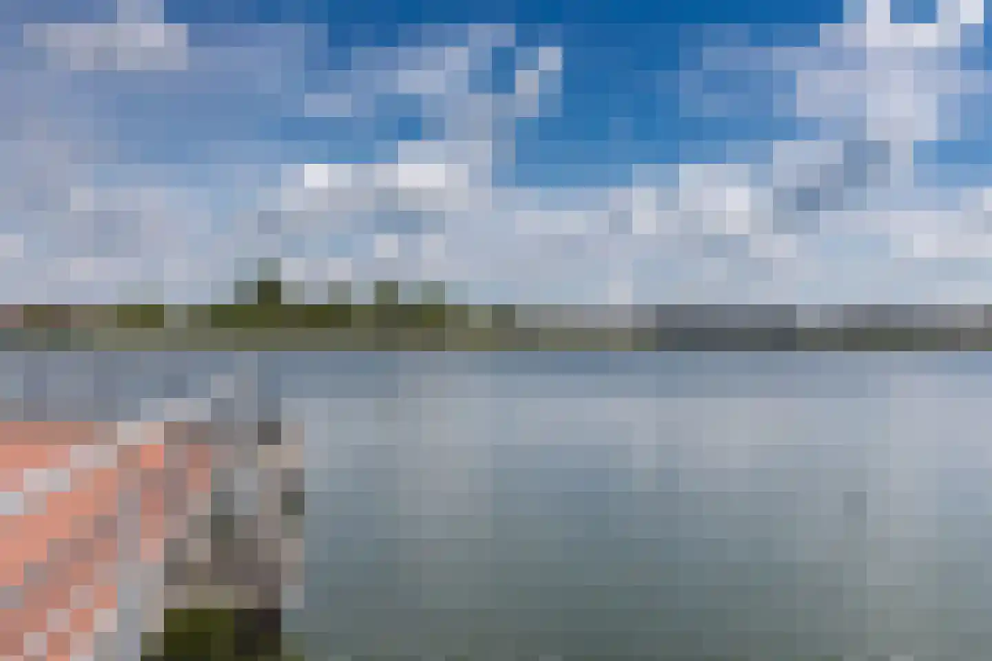 Dahliatuin 11 Houten thumbnail 60