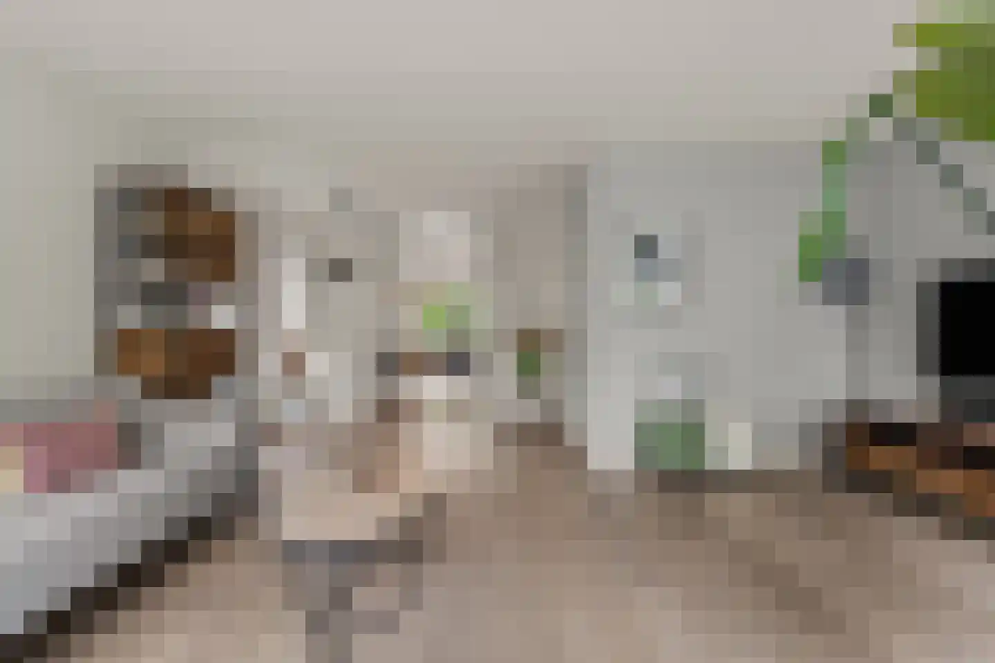 Dahliatuin 11 Houten thumbnail 9