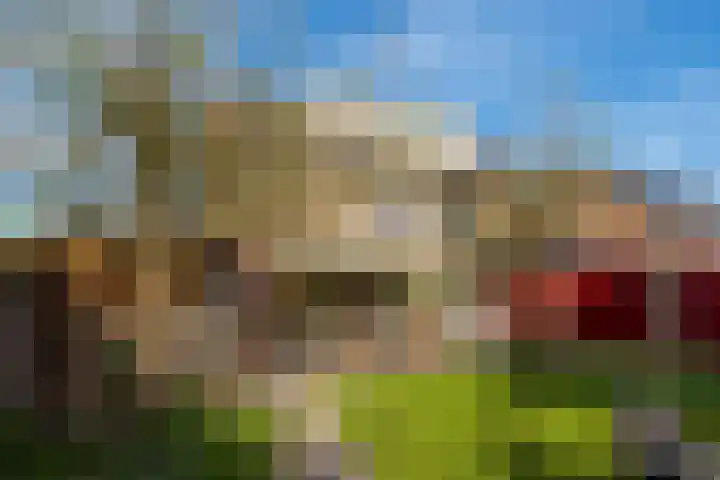 Dahliavallei 1 's-Hertogenbosch thumbnail 13