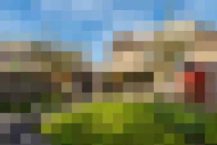 Dahliavallei 1 's-Hertogenbosch thumbnail 14