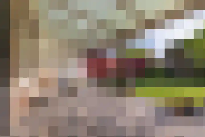 Dahliavallei 1 's-Hertogenbosch thumbnail 15