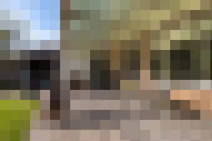 Dahliavallei 1 's-Hertogenbosch thumbnail 16