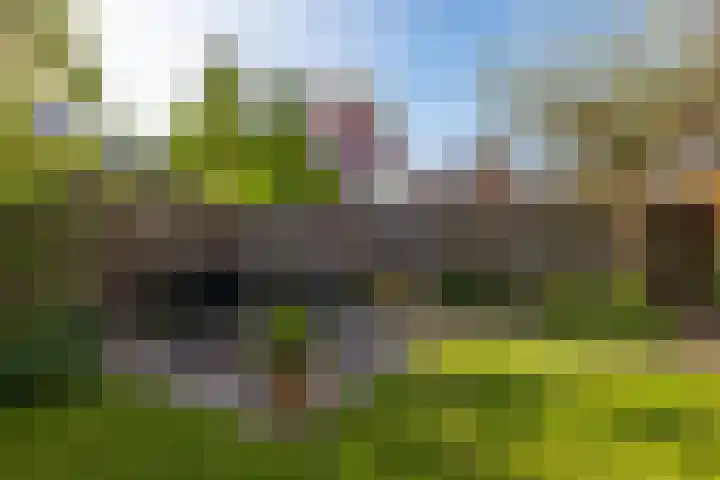 Dahliavallei 1 's-Hertogenbosch thumbnail 17
