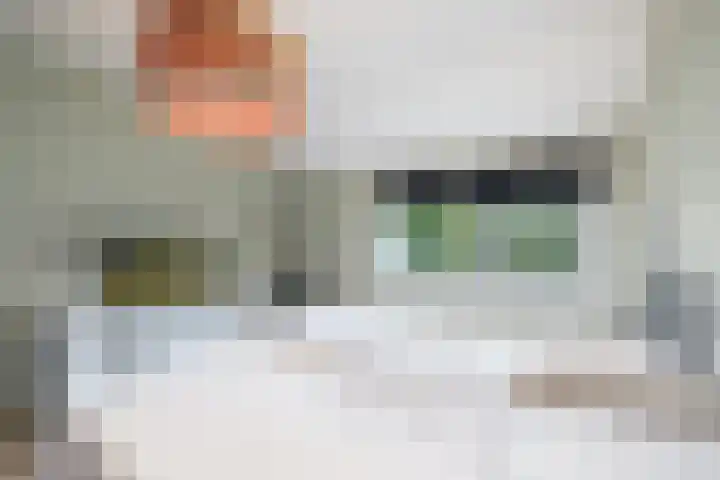 Dahliavallei 1 's-Hertogenbosch thumbnail 20