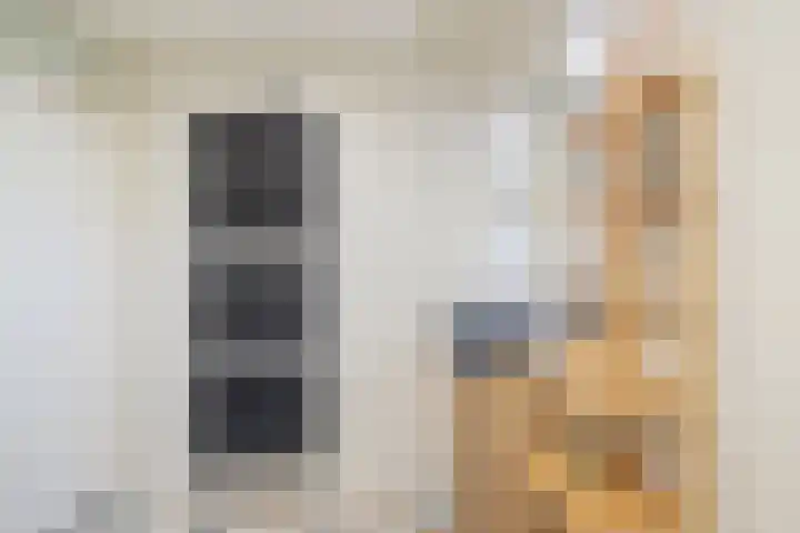 Dahliavallei 1 's-Hertogenbosch thumbnail 22