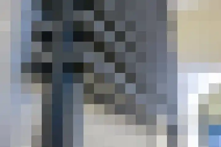 Dahliavallei 1 's-Hertogenbosch thumbnail 23