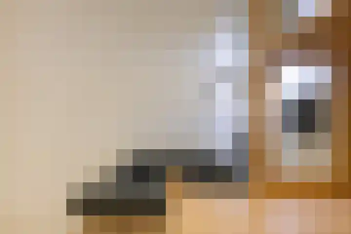 Dahliavallei 1 's-Hertogenbosch thumbnail 25