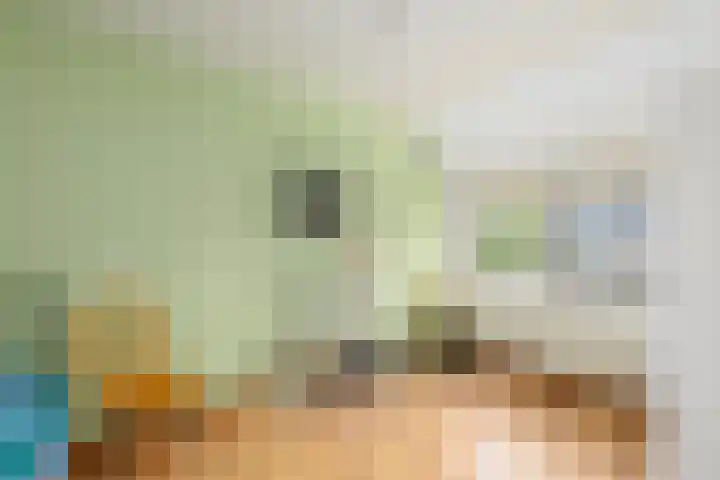 Dahliavallei 1 's-Hertogenbosch thumbnail 27