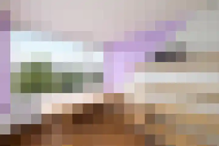 Dahliavallei 1 's-Hertogenbosch thumbnail 31