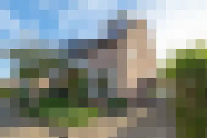 Dahliavallei 1 's-Hertogenbosch thumbnail 33