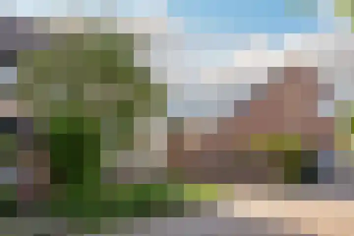 Dahliavallei 1 's-Hertogenbosch thumbnail 34