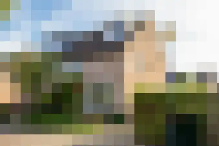 Dahliavallei 1 's-Hertogenbosch thumbnail 35