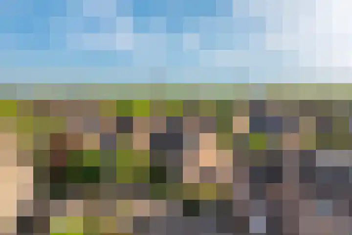 Dahliavallei 1 's-Hertogenbosch thumbnail 36