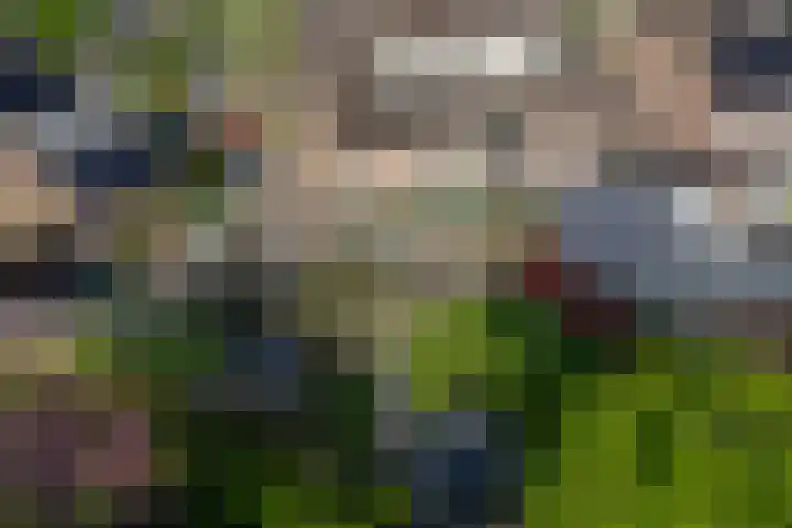 Dahliavallei 1 's-Hertogenbosch thumbnail 37