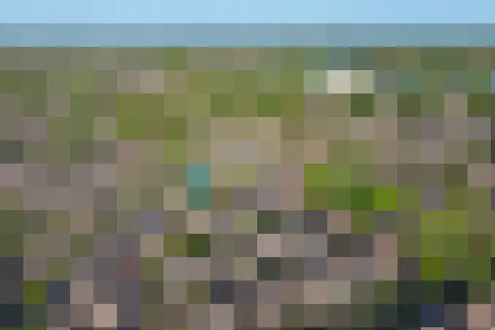 Dahliavallei 1 's-Hertogenbosch thumbnail 38