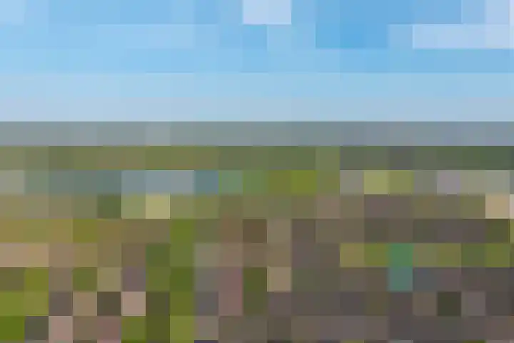 Dahliavallei 1 's-Hertogenbosch thumbnail 39