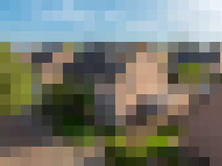 Dahliavallei 1 's-Hertogenbosch thumbnail 44