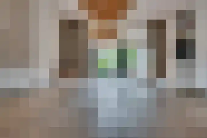 Dahliavallei 52 's-Hertogenbosch thumbnail 13