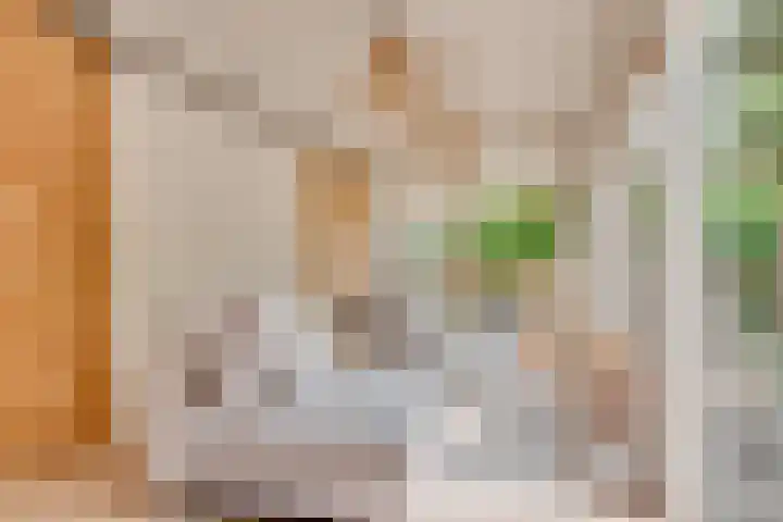 Dahliavallei 52 's-Hertogenbosch thumbnail 21