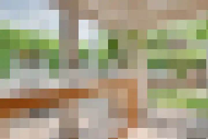 Dahliavallei 52 's-Hertogenbosch thumbnail 25