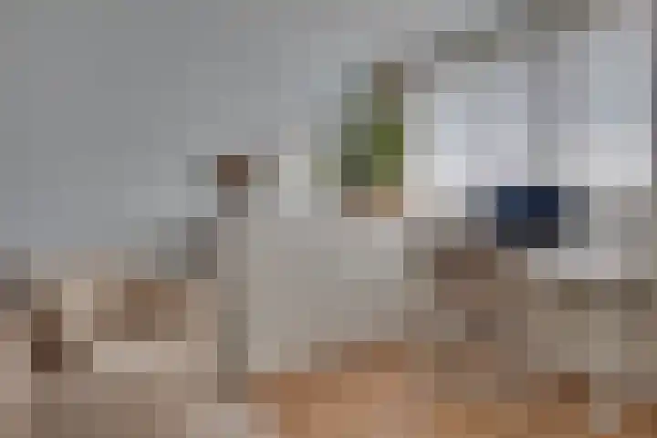 Dahliavallei 52 's-Hertogenbosch thumbnail 33