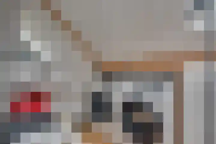 Dahliavallei 52 's-Hertogenbosch thumbnail 39