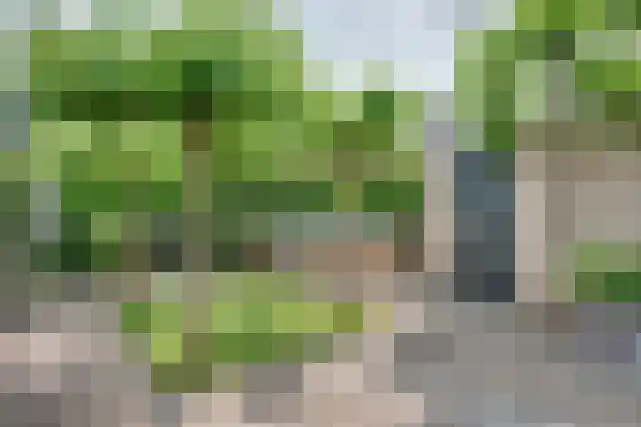 Dahliavallei 52 's-Hertogenbosch thumbnail 42