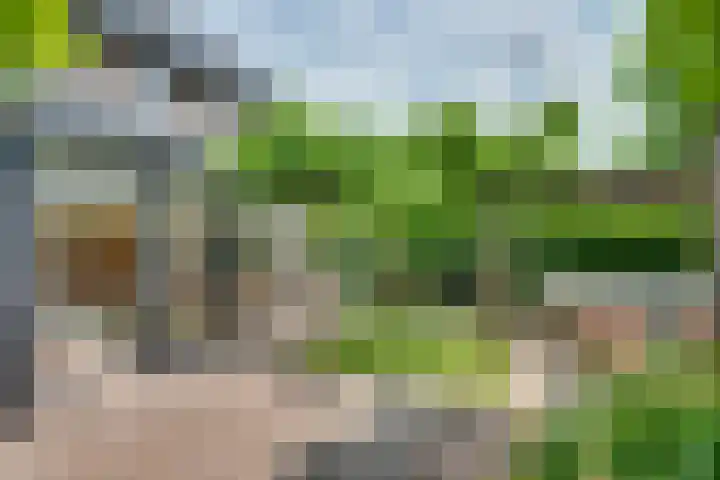 Dahliavallei 52 's-Hertogenbosch thumbnail 43