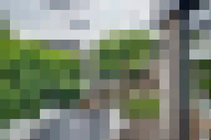 Dahliavallei 52 's-Hertogenbosch thumbnail 46