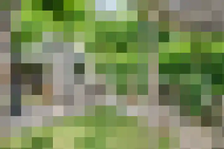Dahliavallei 52 's-Hertogenbosch thumbnail 48