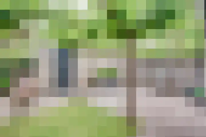 Dahliavallei 52 's-Hertogenbosch thumbnail 49