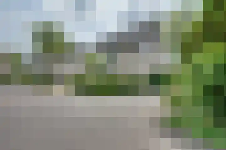 Dahliavallei 52 's-Hertogenbosch thumbnail 51
