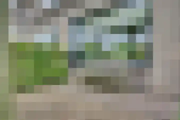 Dahliavallei 52 's-Hertogenbosch thumbnail 55