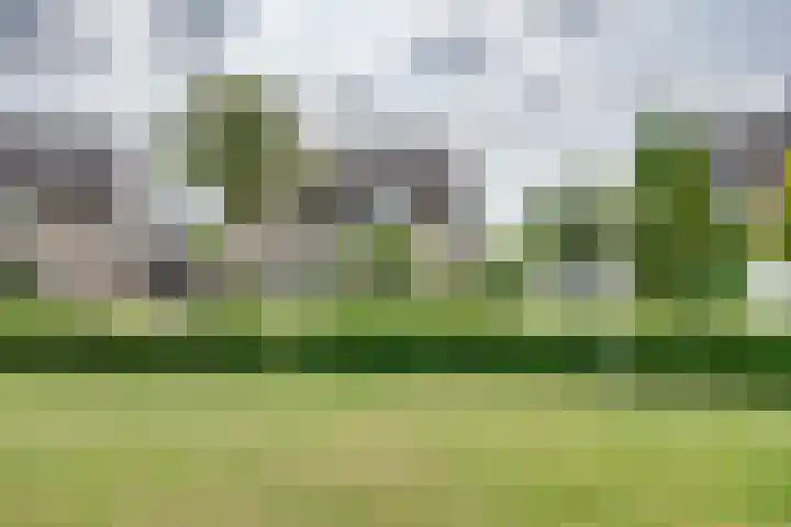 Dahliavallei 52 's-Hertogenbosch thumbnail 57