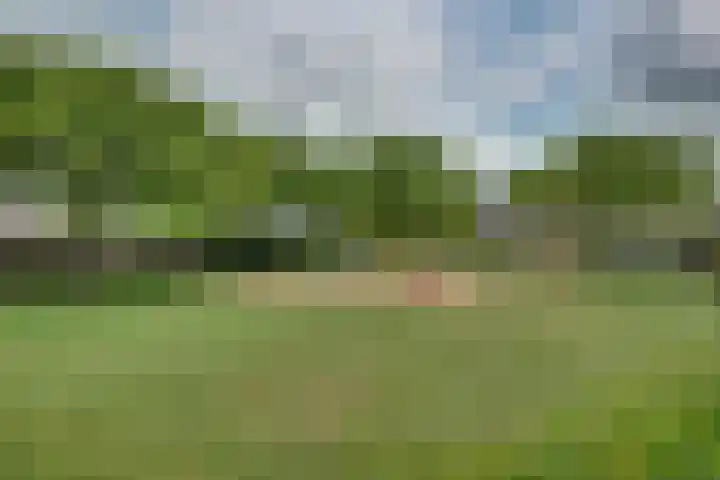 Dahliavallei 52 's-Hertogenbosch thumbnail 58