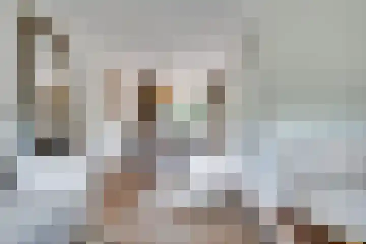 Dahliavallei 52 's-Hertogenbosch thumbnail 6