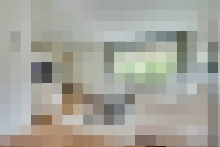 Dahliavallei 52 's-Hertogenbosch thumbnail 8