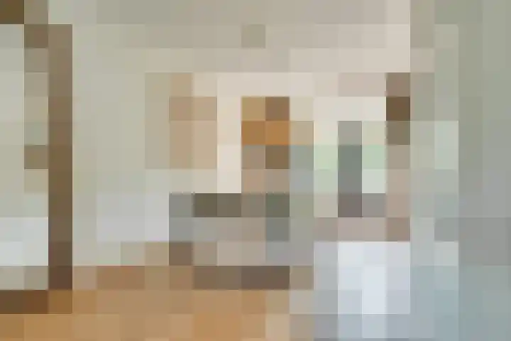 Dahliavallei 52 's-Hertogenbosch thumbnail 9
