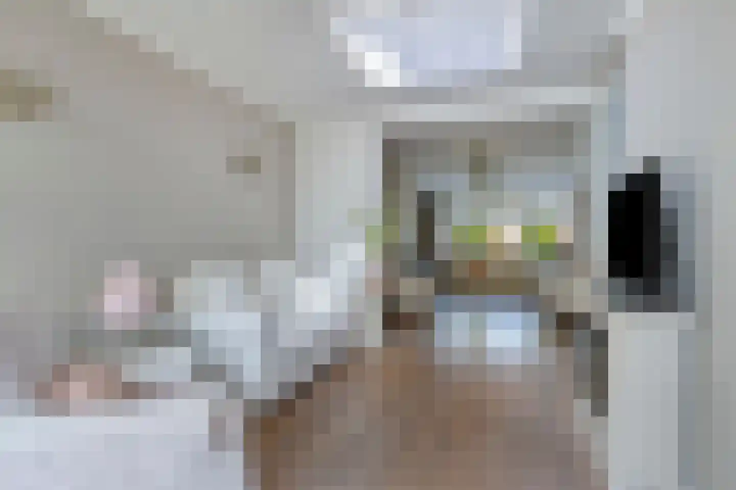Dakdekkerstraat 12 Venray thumbnail 15