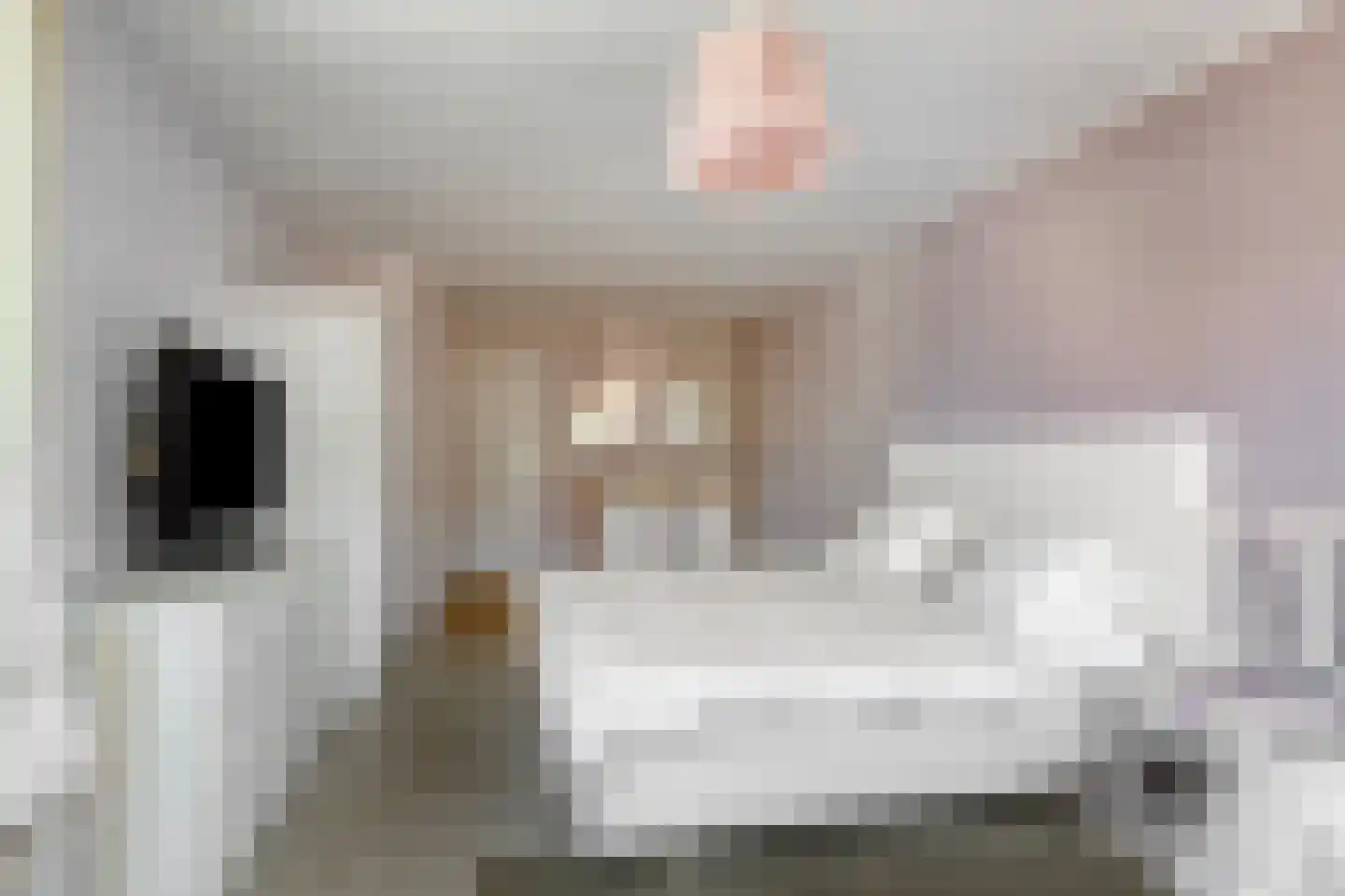 Dakdekkerstraat 12 Venray thumbnail 20