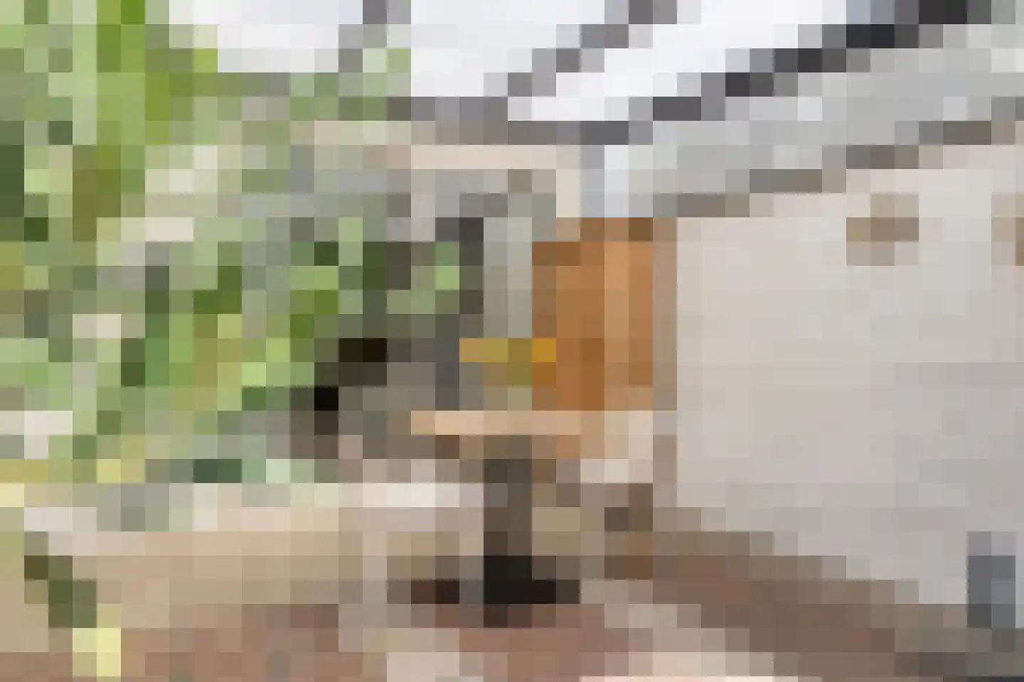 Dakdekkerstraat 12 Venray thumbnail 27