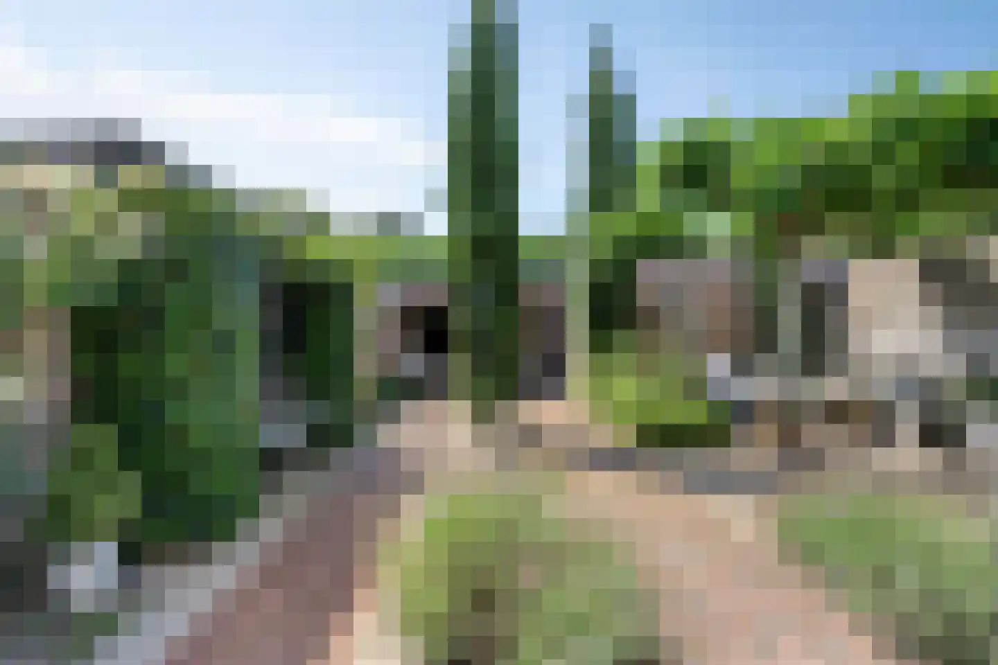 Dakdekkerstraat 12 Venray thumbnail 29