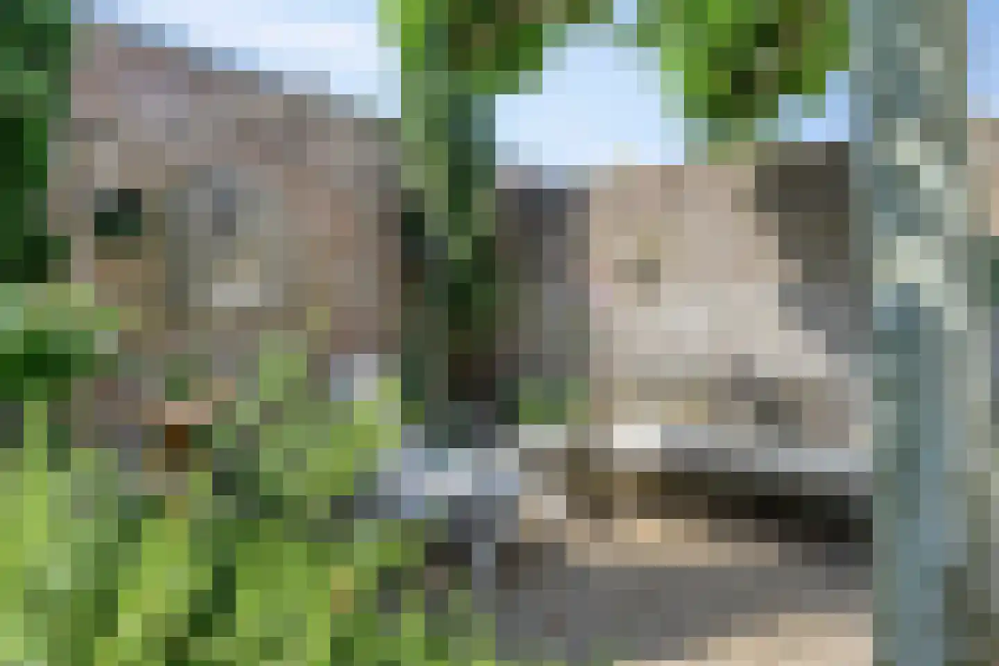Dakdekkerstraat 12 Venray thumbnail 30
