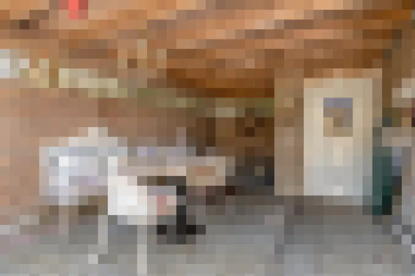 Dakdekkerstraat 12 Venray thumbnail 33