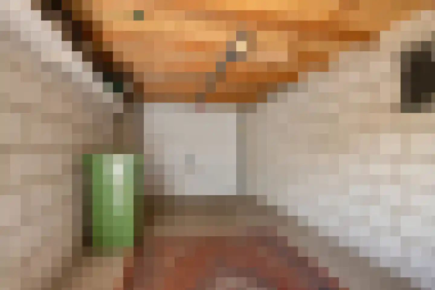Dakdekkerstraat 12 Venray thumbnail 34