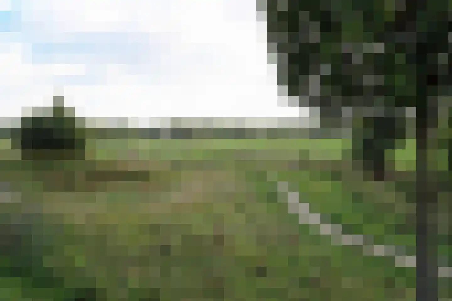 Dakotastraat 5 Groesbeek thumbnail 12