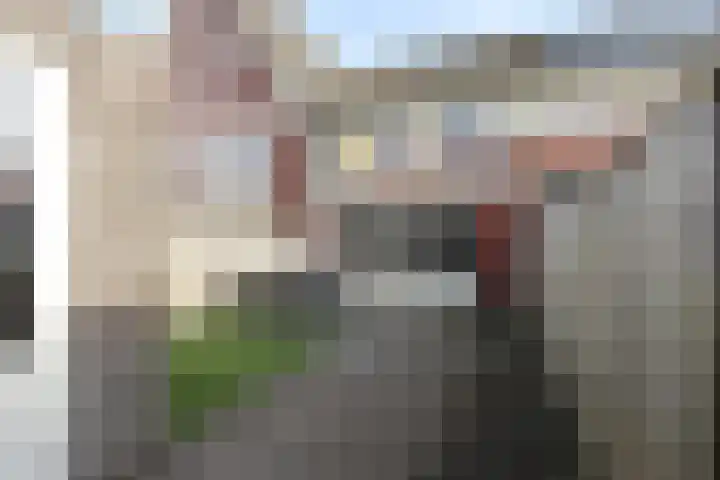 Dakotastraat 6 Groesbeek thumbnail 6